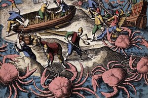 Európai navigátorok harcolnak a nagy rákokkal. Metszet Theodore de Bry „Petities voyages aux Indes Orientales” című könyvéből alkotó: Theodore de Bry