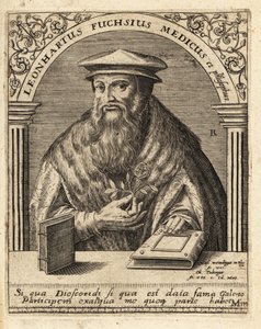 Leonhart Fuchs német orvos és botanikus 1501-1566. alkotó: Theodore de Bry