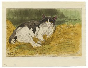 Régi fekete-fehér macska a fűben alkotó: Théophile Alexandre Steinlen