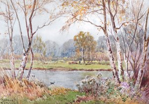 Napos nap az Ouse-on (akvarell)