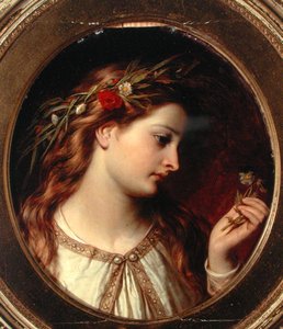 Miranda (olaj, tábla)