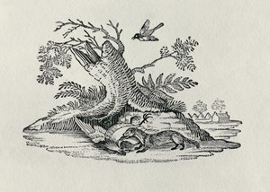 Civet kakassal a Négylábúak története című filmből, 1790 alkotó: Thomas Bewick