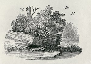 Róka menekül, a "The General History of Quadrupeds" című, 1790-ben kiadott könyvből (fametszet). alkotó: Thomas Bewick