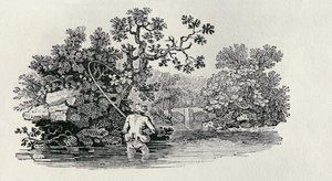 Lazacjáték a Brit madarak és négylábúak története című filmből alkotó: Thomas Bewick