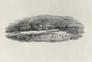 Sziklák parti hajózással, 1801 körül, az 1804-ben megjelent "Water Birds" című kötetből (fametszet). alkotó: Thomas Bewick