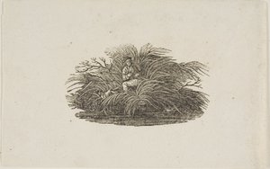 Farokrész: Ember a bokorban alkotó: Thomas Bewick
