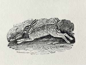 A nyúl a Brit madarak és négylábúak történetéből alkotó: Thomas Bewick