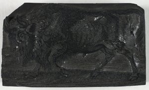 Woodblock az Urushoz vagy a Wild Bullhoz, A négylábúak általános történetéből alkotó: Thomas Bewick