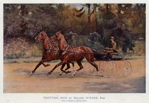 Walter Winans ügető párja, Esquire