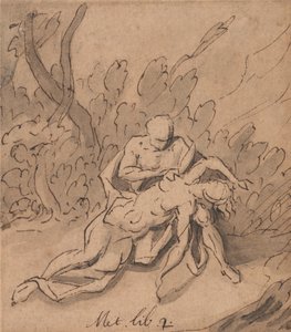 Jupiter és Callisto: Ovidius, Metamorfózisok, 2. könyv