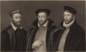 de Chatillon bíboros, Coligni admirális és d