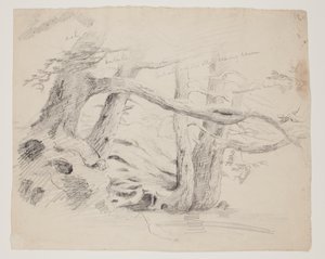 Tölgy és vérfű (ceruza papíron) alkotó: Thomas Cole