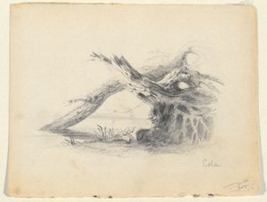Vázlat két halott fáról alkotó: Thomas Cole