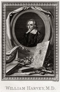 William Harvey, 1777