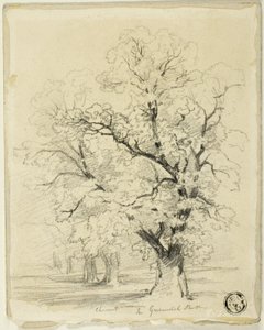 Ches[t]nut a Greenwich Parkban alkotó: Thomas Creswick