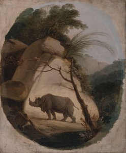 Az indiai orrszarvú alkotó: Thomas Daniell