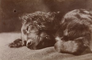  alkotó: Thomas Eakins