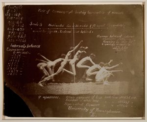 Marey Wheel fényképei azonosítatlan modellről, Eadweard Muybridge jelölésekkel, 1884. alkotó: Thomas Eakins