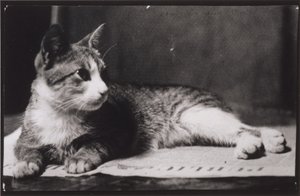  alkotó: Thomas Eakins