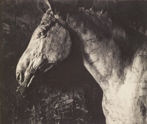  alkotó: Thomas Eakins