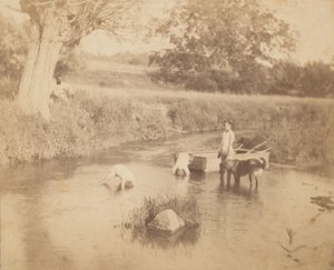 [Három gyerek és egy kutya játszik a patakban, 1883. július 4.], 1883., 1883. alkotó: Thomas Eakins