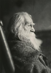 Walt Whitman Camdenben, N.J., kb. 1891. alkotó: Thomas Eakins