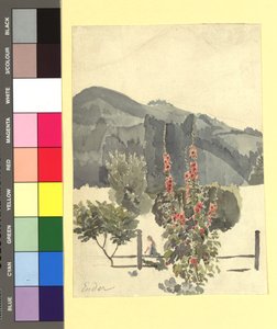 Studie (Landschaft mit Pappelrosen) alkotó: Thomas Ender