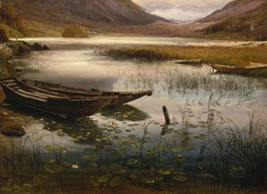 Hajók és tavirózsák alkotó: Thomas Fearnley
