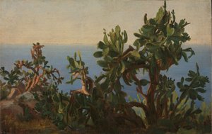  alkotó: Thomas Fearnley