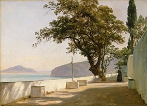 Tölgyfa terasz, Sorrento alkotó: Thomas Fearnley