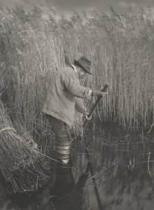 Nádvágó munkában,1886 (fotó)