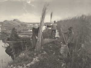 A nádaratás idején,1886 (fotó)