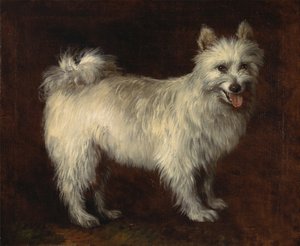 Spitz kutya, egy kutya, kb. 1765. alkotó: Thomas Gainsborough