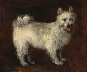 Pomerániai kutya alkotó: Thomas Gainsborough