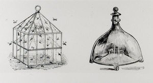 Darázs- és légycsapdák, Thomas Mawson „A kertkészítés művészete és mestersége” című művéből, 1900-ban megjelent (metszet) (f/w fotó) alkotó: Thomas Hayton Mawson