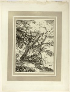 Öreg fa, a Specimens of Polyautography első számából