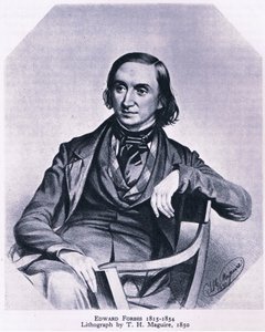 Edward Forbes (1815-1854), Nature in Britain, Collins, 1946