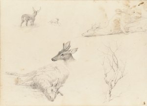 Vázlatfüzet táj- és állattantárgyakról, 1860-64.