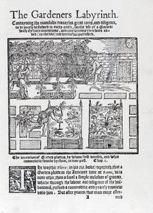 Nappal szemben árnyékolóként épített lugas, amelyet magaságyásokba ültetnek, a Kertészek labirintusából, 1577 alkotó: Thomas Hill