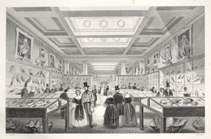 British Museum, Zoological Gallery, a „London Interiors with their Costumes and Ceremonies” pubból. Joseph Mead, London, 1843 körül (acélmetszet) alkotó: Thomas Hosmer Shepherd