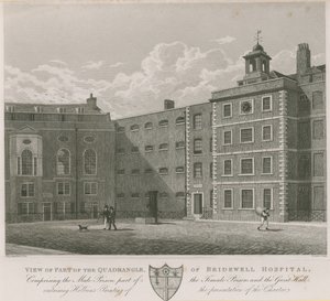 Kilátás a Bridewell Kórház négyszögének egy részére alkotó: Thomas Hosmer Shepherd