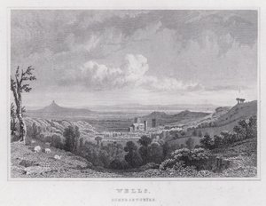 Wells, Somersetshire (metszet) alkotó: Thomas Hosmer Shepherd