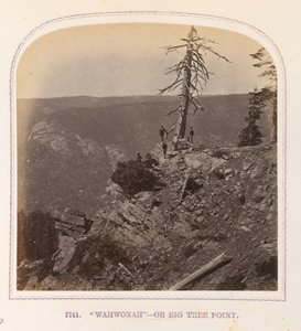 "Wahwonah" - vagy Big Tree Point