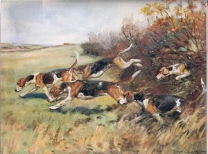 Az illat nyomán, illusztráció a „Hounds”-ból