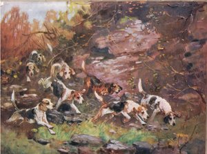 Az aljnövényzeten keresztül, illusztráció a „Hounds”-ból