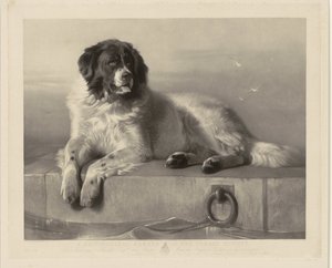 Portré a mentőkutyáról, Bobról, aki egy mólón fekszik A Humane Society kitüntetett tagja (cím a tárgyon) alkotó: Thomas Landseer