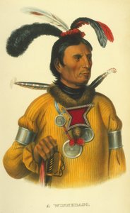 A Winnebago, 1854 (kézzel színezett litó)