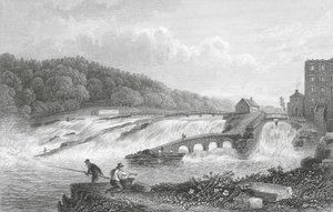 A Coleraine Salmon Leap, Co Londonderry (metszet)