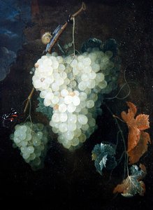 Csendélet szőlővel, vörös admirálissal és csigával alkotó: Thomas Mertens