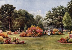 Kew Gardens: Azáleák (színes litho)